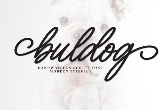 Buldog Font: Bold Type for Clear Campaigns