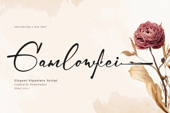 Gamlowfei Typeface: A Designer’s Review